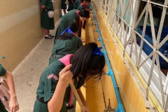 กิจกรรมลูกเสือบำเพ็ญประโยชน์-69