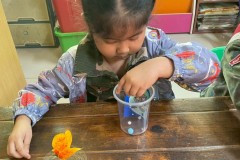 กิจกรรมวันพ่ออนุบาล-68-47