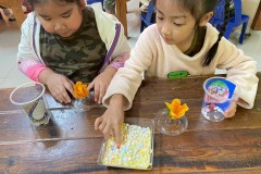 กิจกรรมวันพ่ออนุบาล-68-61