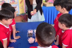 กิจกรรมอาชีพในฝันลูกรักอนุบาล-68-243