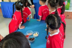 กิจกรรมอาชีพในฝันลูกรักอนุบาล-68-248