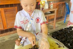 กิจกรรมอาเซียนประถม-69-3