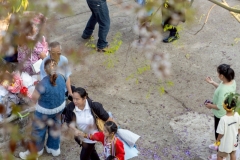 งานบัณฑิตน้อย-ปีการศึกษา-2568-26