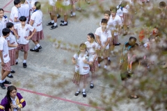 งานบัณฑิตน้อย-ปีการศึกษา-2568-56