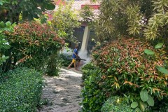 พ่นหมอกควันกำจัดยุงลาย-12-6-2568-36