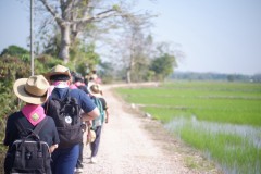 เข้าค่ายลูกเสือ-เนตรนารี-สามัญ-ปีการศึกษา-2568-185