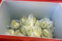 เข้าค่ายลูกเสือ-เนตรนารี-สามัญ-ปีการศึกษา-2568-330