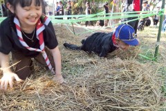 เข้าค่ายลูกเสือสำรอง-ปีการศึกษา-2568-114