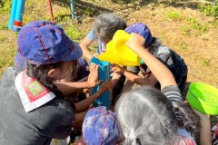 เข้าค่ายลูกเสือสำรอง-ปีการศึกษา-2568-16