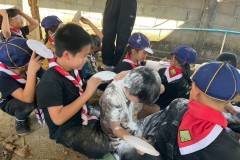 เข้าค่ายลูกเสือสำรอง-ปีการศึกษา-2568-308