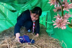 เข้าค่ายลูกเสือสำรอง-ปีการศึกษา-2568-330