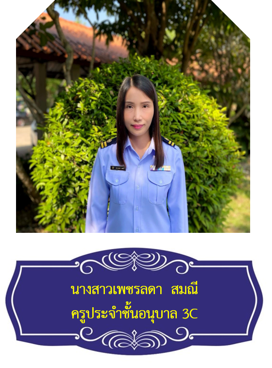 นางสาวเพชรลดา  สมณี
